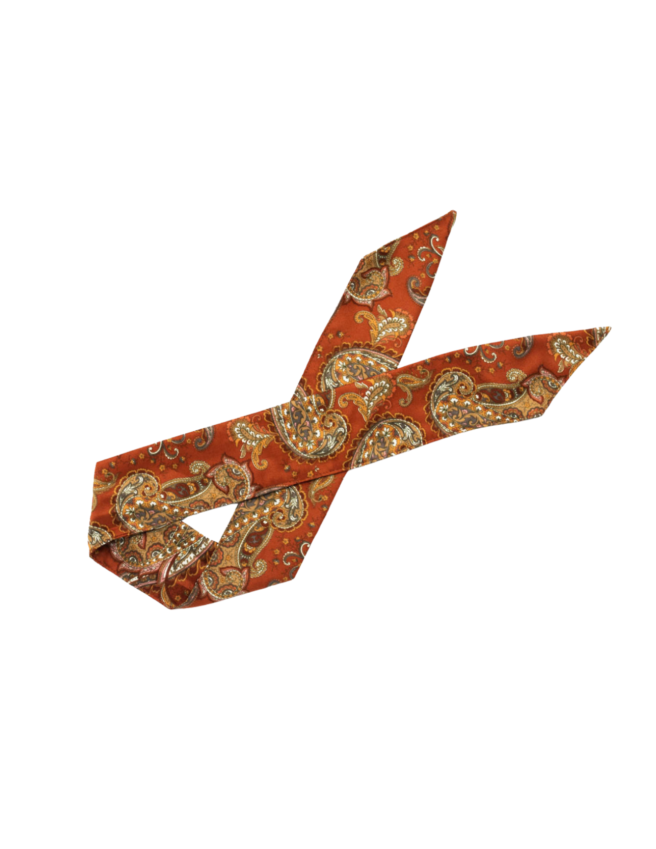 Autumn Paisley Silk Scarf