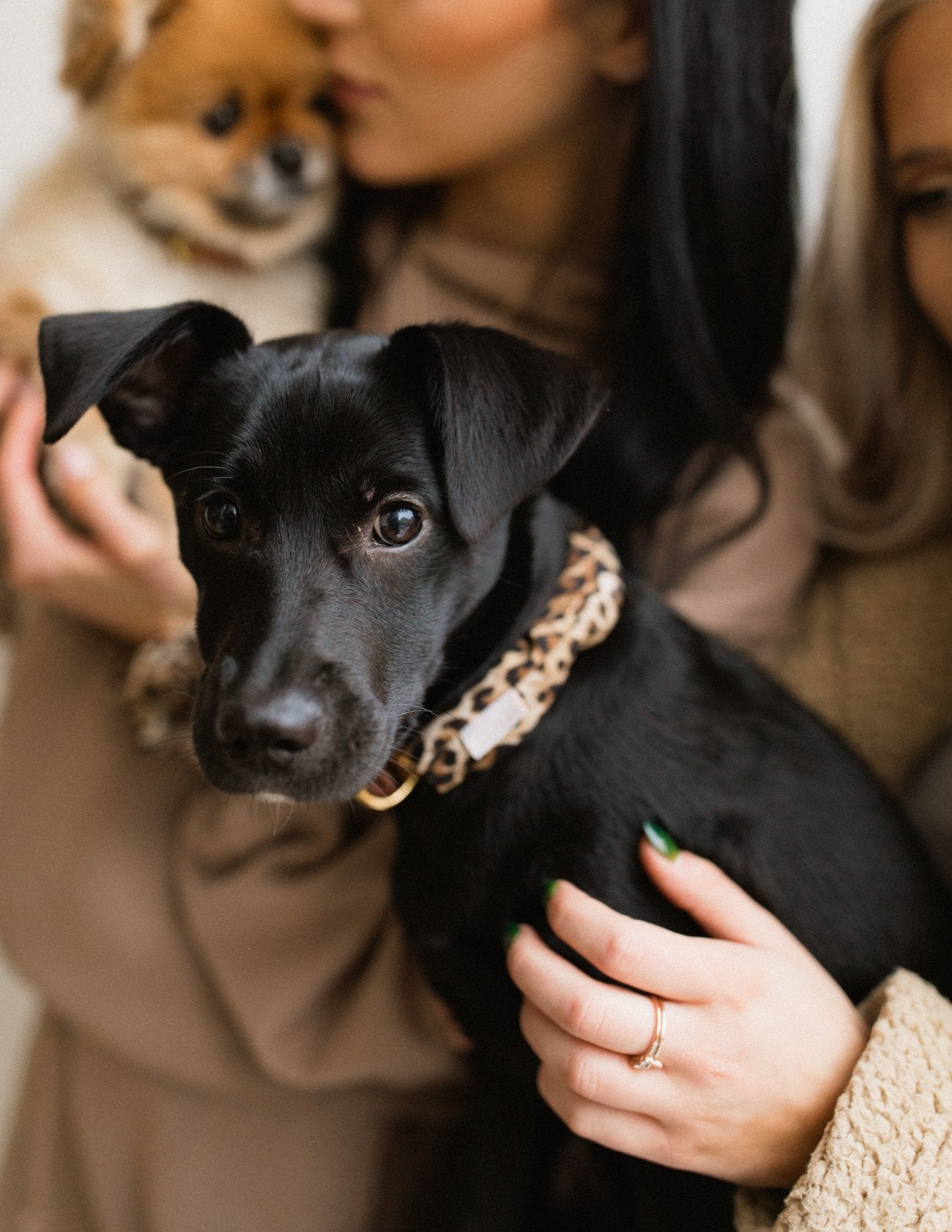 Leopard Pupchie Covering (Collar Not Included)