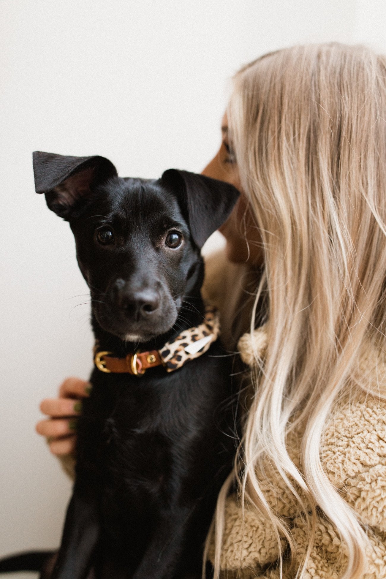 Leopard Pupchie Covering (Collar Not Included)