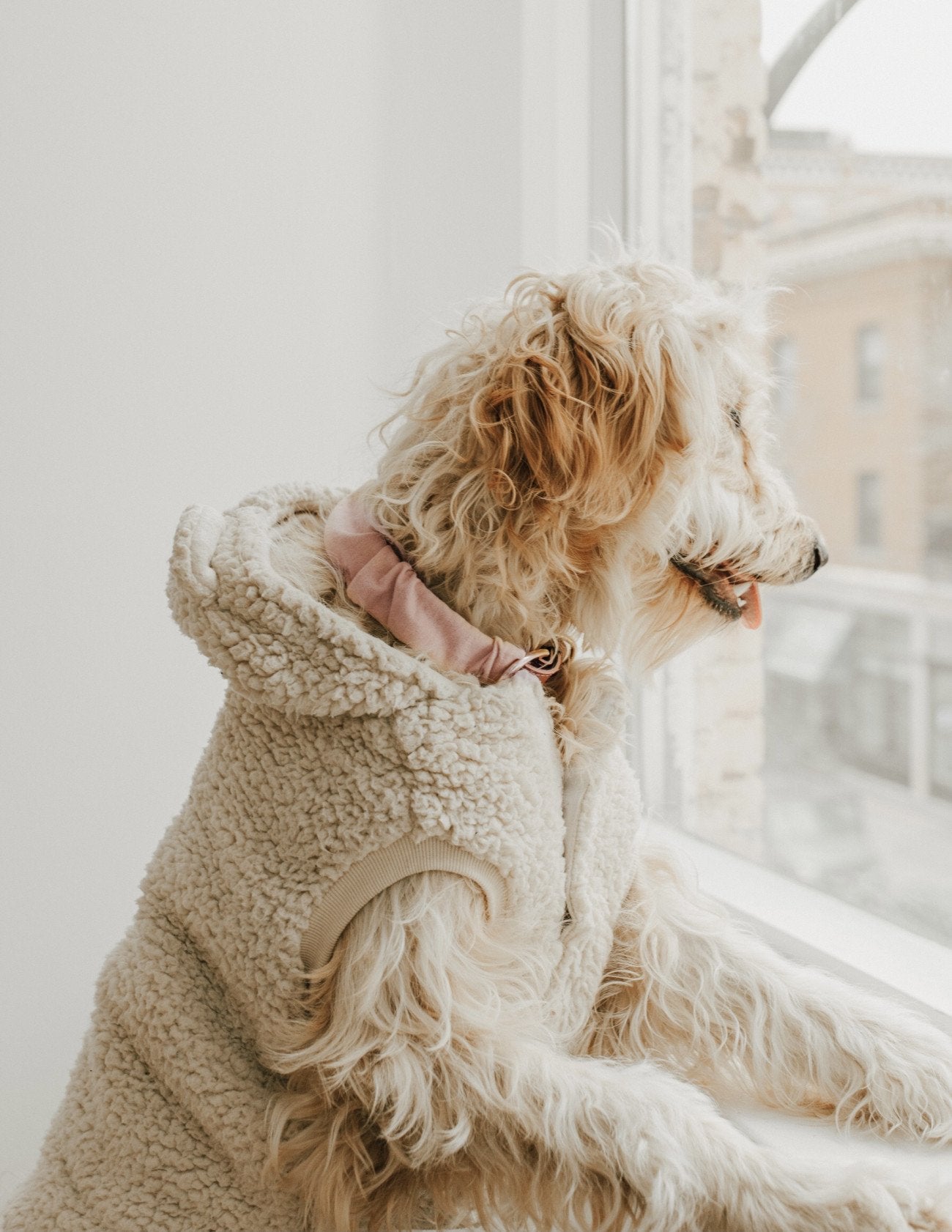 Blush Pupchie Covering (Collar Not Included)