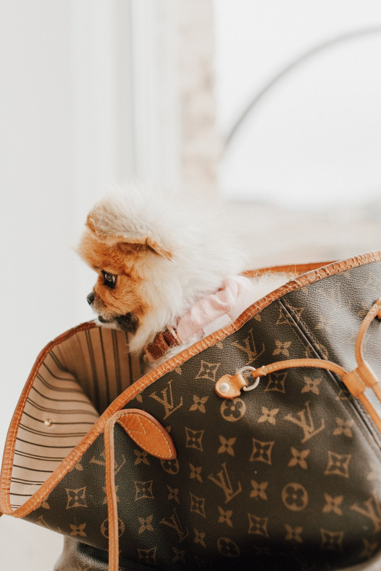 Blush Pupchie Covering (Collar Not Included)