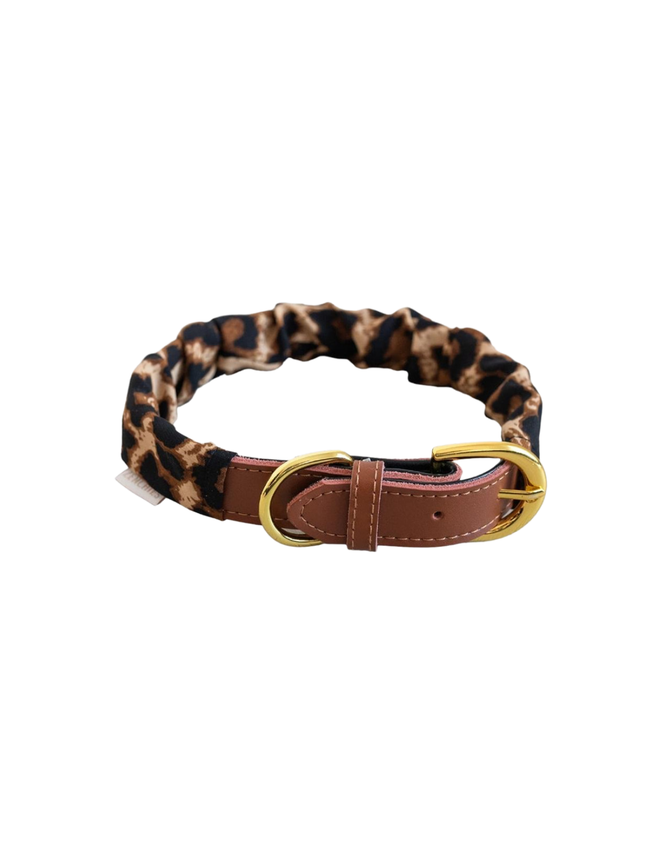 Leopard Pupchie